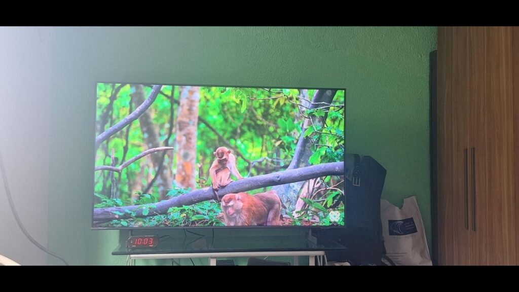 Smart TV Samsung 55" 4K 55DU8000 em Uso