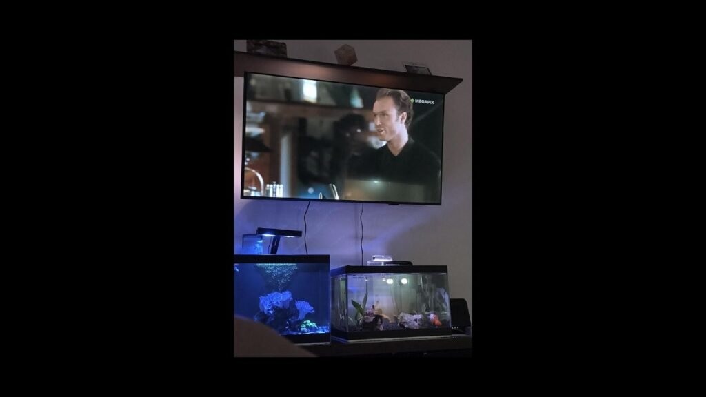 Smart TV Philips 55" 4K 55PUG8100 em uso